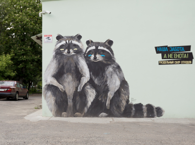 Raccoons